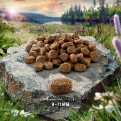 Purizon fish - ryba bez zbóż - karma sucha kot