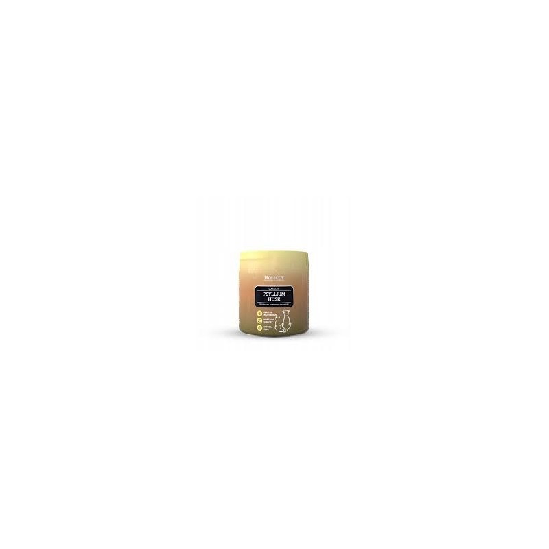 Psyllium Husk 100g Holista