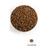 Acana small bread adult dog 2kg zwierzynkowo sucha karma mieso karma trawienie dieta