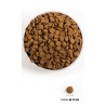 Acana wild coast dog 2kg zwierzynkowo mieso karma dieta jedzenie mięso