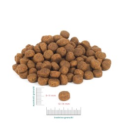 Perro cielęcina z batatami dla dorosłych psów średnich i dużych ras 1kg