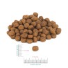 Perro junior wołowina z batatami szczeniak 9kg