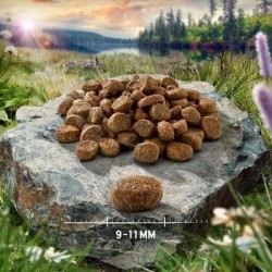 Purizon jagnięcina i ryba 400g sucha karma dla kota