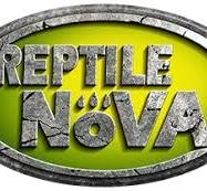 Reptile Nova